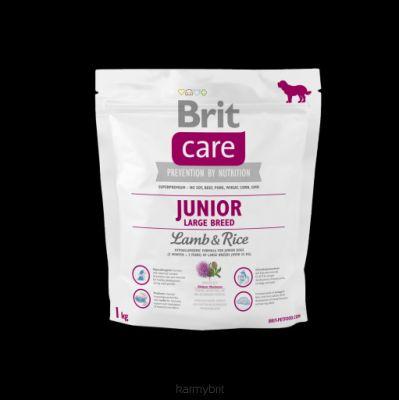 Brit Care Junior Large Breed Lamb & Rice - jagnięcina z ryżem dla juniorów ras dużych 12 kg