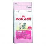 ROYAL CANIN Kitten 2kg