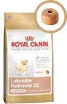 ROYAL CANIN Labrador Junior 3kg