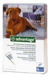 BAYER Advantage - krople na pchły dla psów o masie ciała >25kg 4x4ml