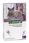 BAYER Advantage - krople na pchły dla kotów o masie ciała >4kg 4x0,8ml
