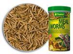 Tropical Meal Worms 100ml.- Suszone larwy mącznika młynarka dla gadów