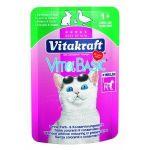 Vitakraft VitaBasic: Łosoś z pstrągiem 100g