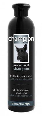 DL Champion szampon intensyfikujący kolor czarny 250 ml