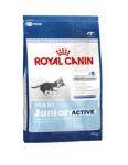 ROYAL CANIN Maxi Junior Active 15kg