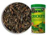 Tropical Crickets 250ml.- Suszone świerszcze dla dużych ryb oraz gadów