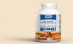 Mikita Megavit Multi Vit Canis 400 tabletek PIES